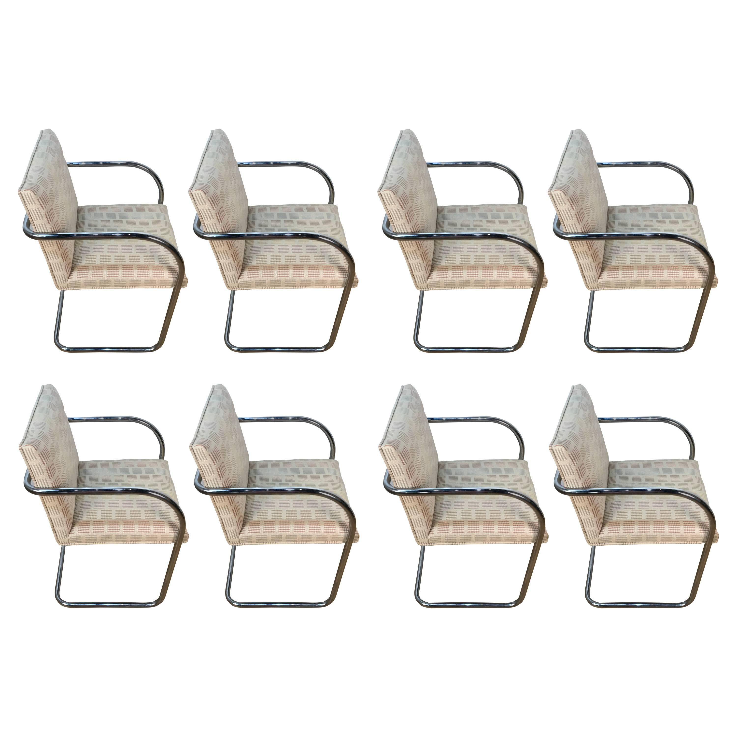 Eight Mid-Century Brono Tubular Chairs, Designed by Ludwig Mies van der Rohe For Sale