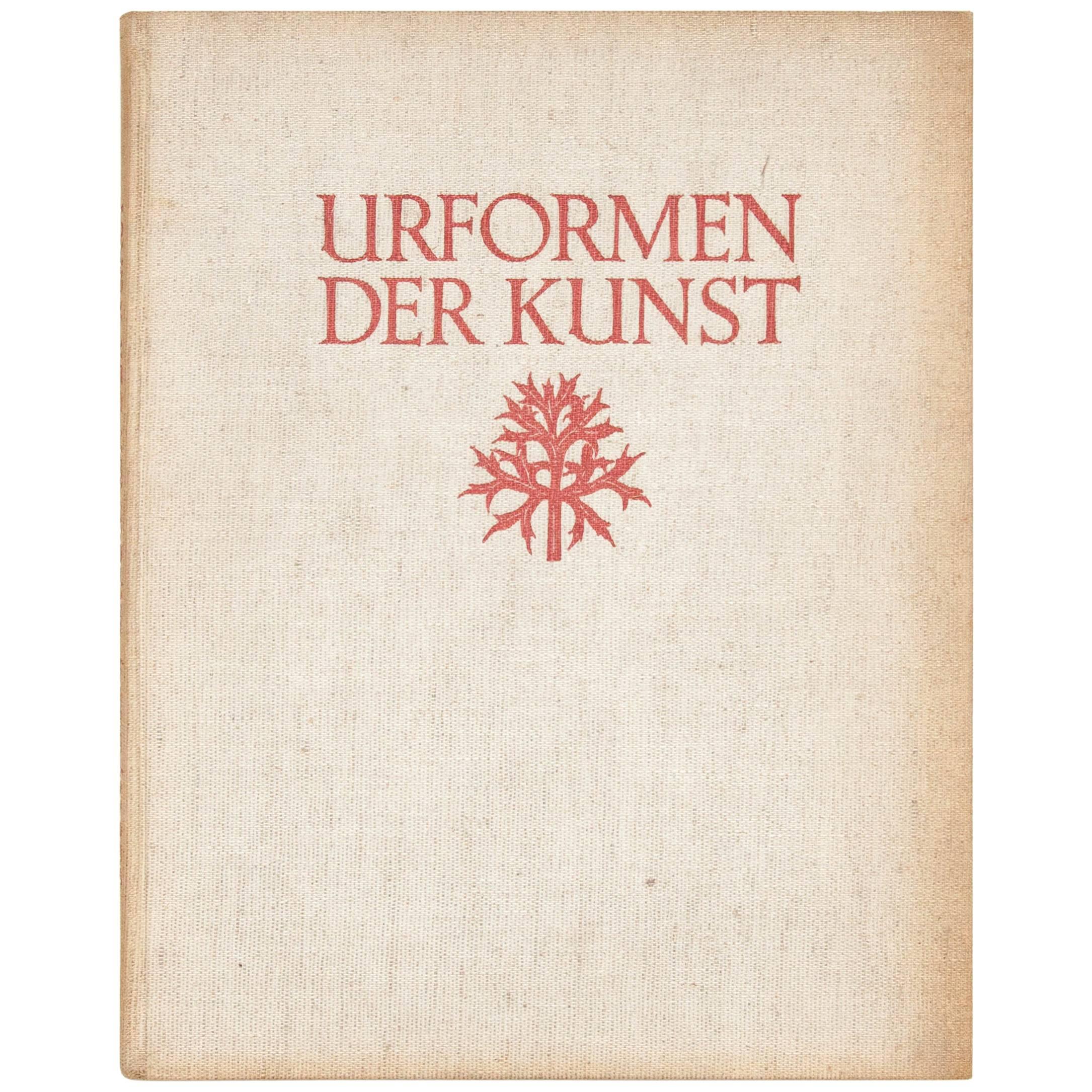 Karl Blossfeldt "Urformen Der Kunst" 1935 Book