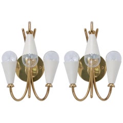 Three-Arm Botanical Sconces