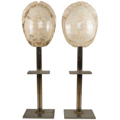 Pair of Lamps by Romeo Rega