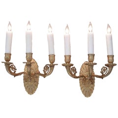 Pair of Early 19th Century English Regency Bronze Doré Sconces 11