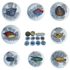 Set of Bucciarelli Milano Sea Shell Ceramic Coasters