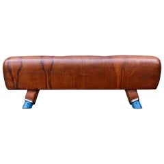 Retro Leather Pommel Horse and Bench, 1930s