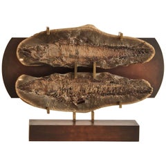 Fish Fossil Mounted on Bronze Pedestal