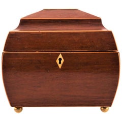 Regency Sarcophagus Form Tea Caddy, England, circa 1815