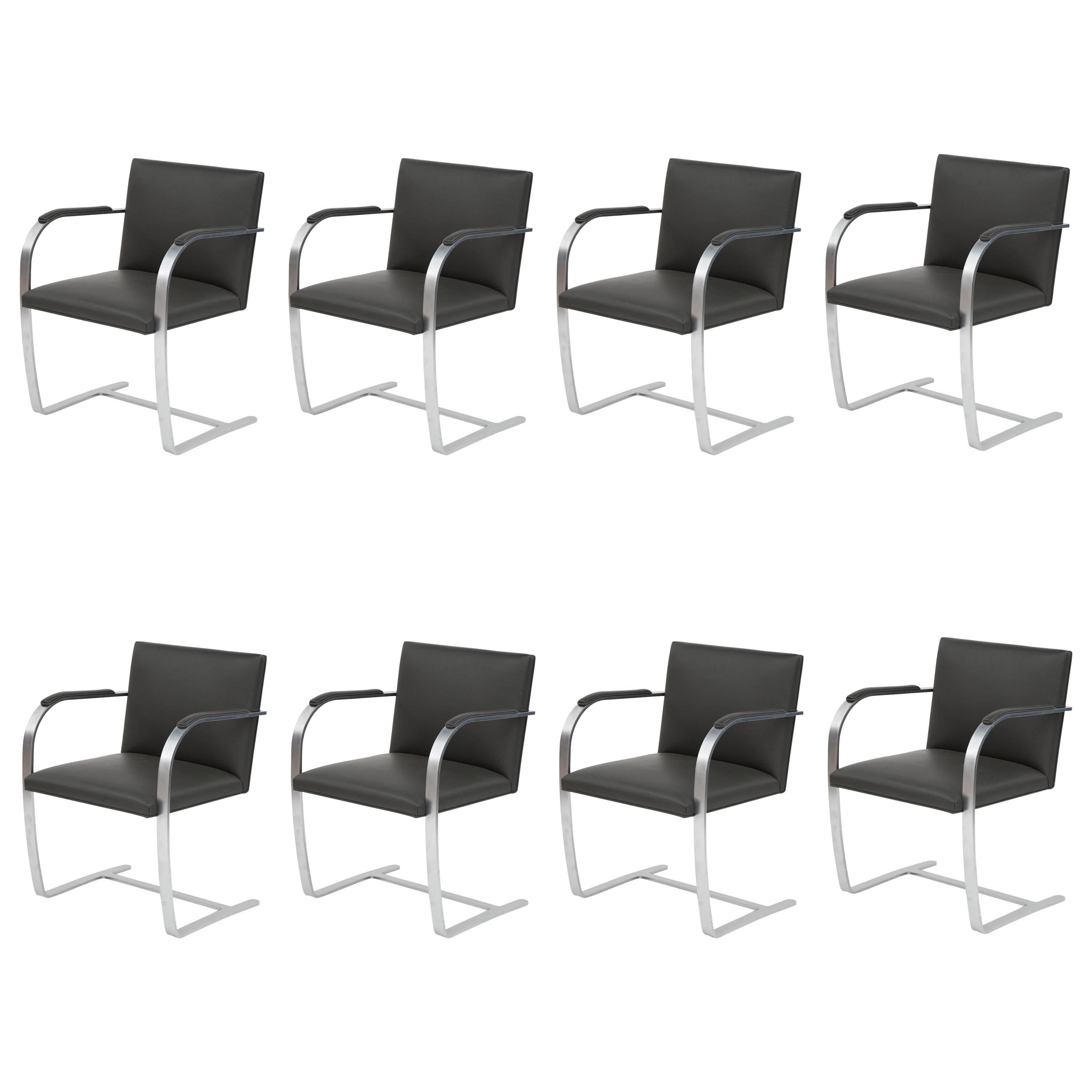 Eight Mies Van Der Rohe Knoll Brno Dining Chairs