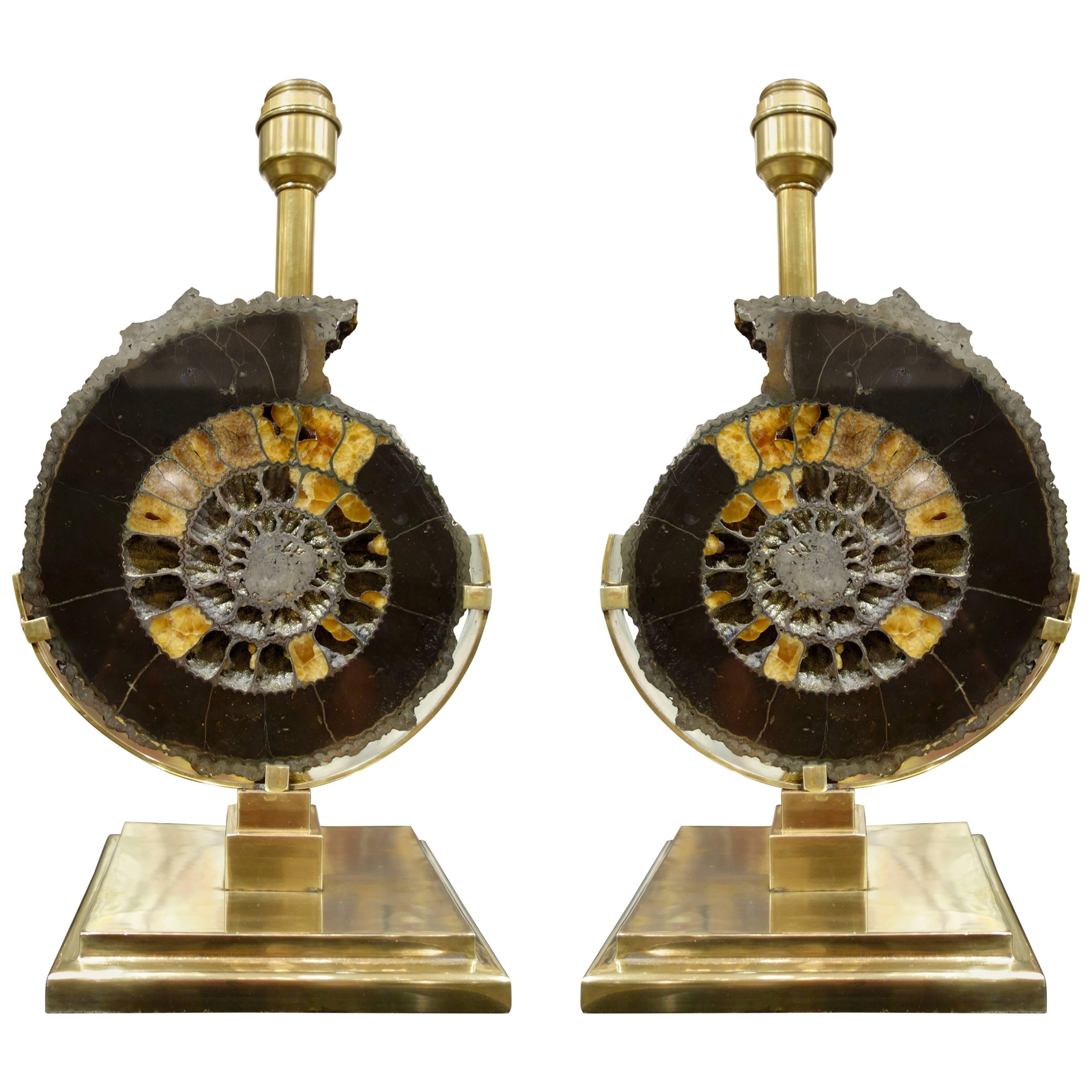 Pair of Dark Charcoal Gray and Gold Polished Ammonite Table Lamps on Brass Bases