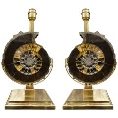 Antique Pair of Dark Charcoal Gray and Gold Polished Ammonite Table Lamps on Brass Bases