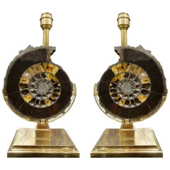 Antique Pair of Dark Charcoal Gray and Gold Polished Ammonite Table Lamps on Brass Bases