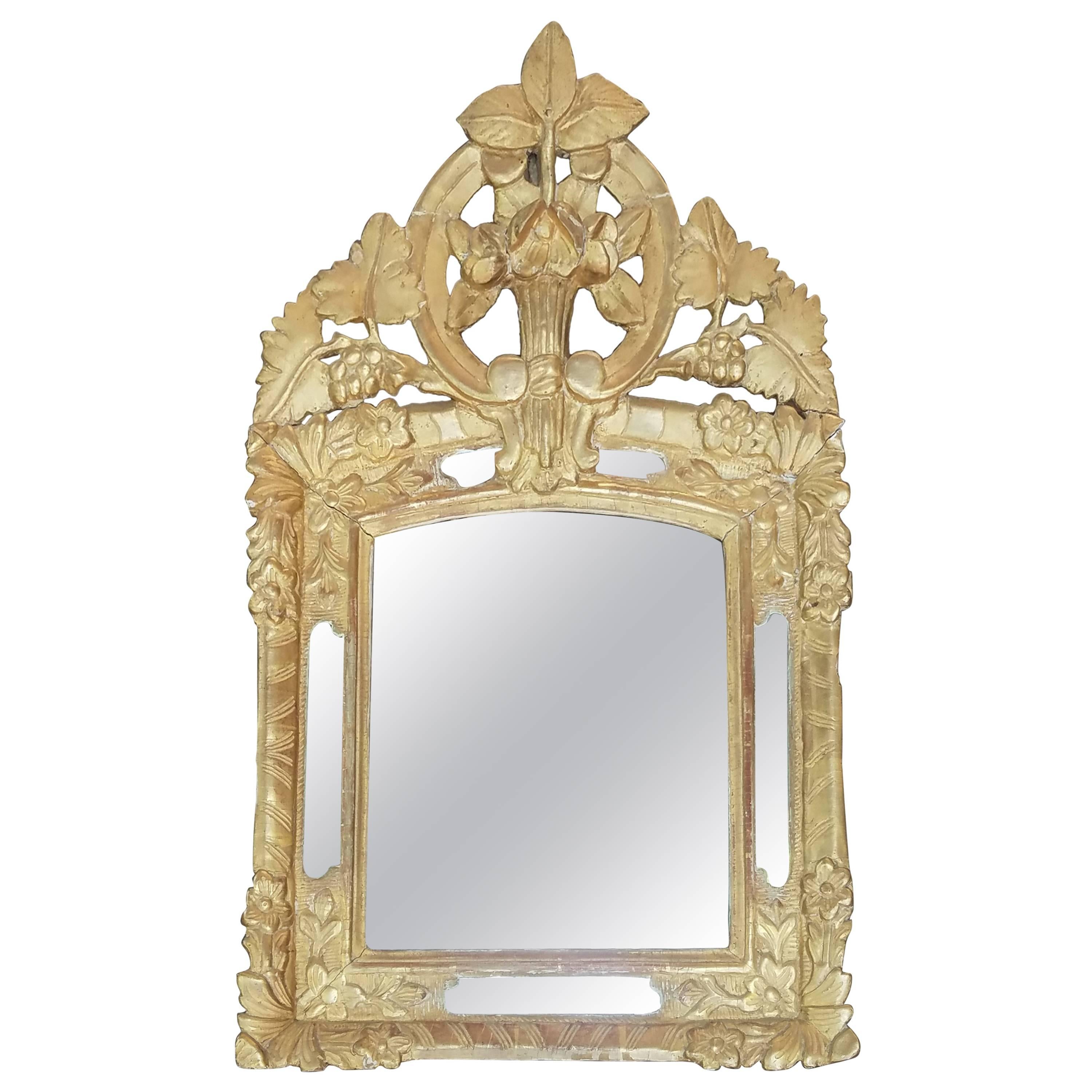  18th Century French Giltwood  Mirror from Provence with Grape and Rose Motif