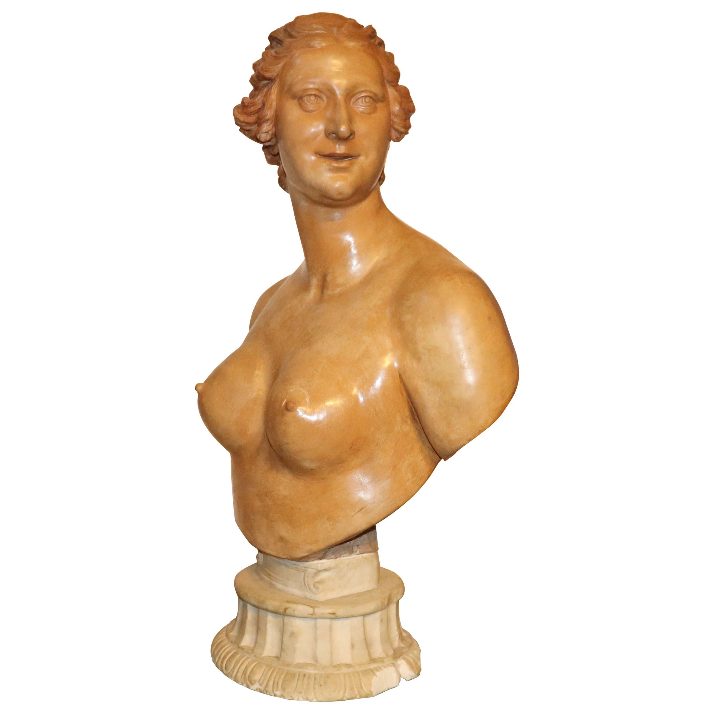 Middle of 18th Century, French Terracotta Bust For Sale