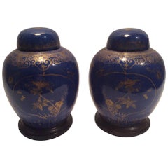 Antique Pair of Qing Dynasty Ginger Jars