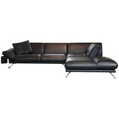 Sofa "WK 667 Nalo" by Manufacturer WK Wohnen in Metal and 100% Genuine Leather