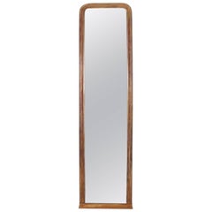 19th Century Tall Giltwood Mirror