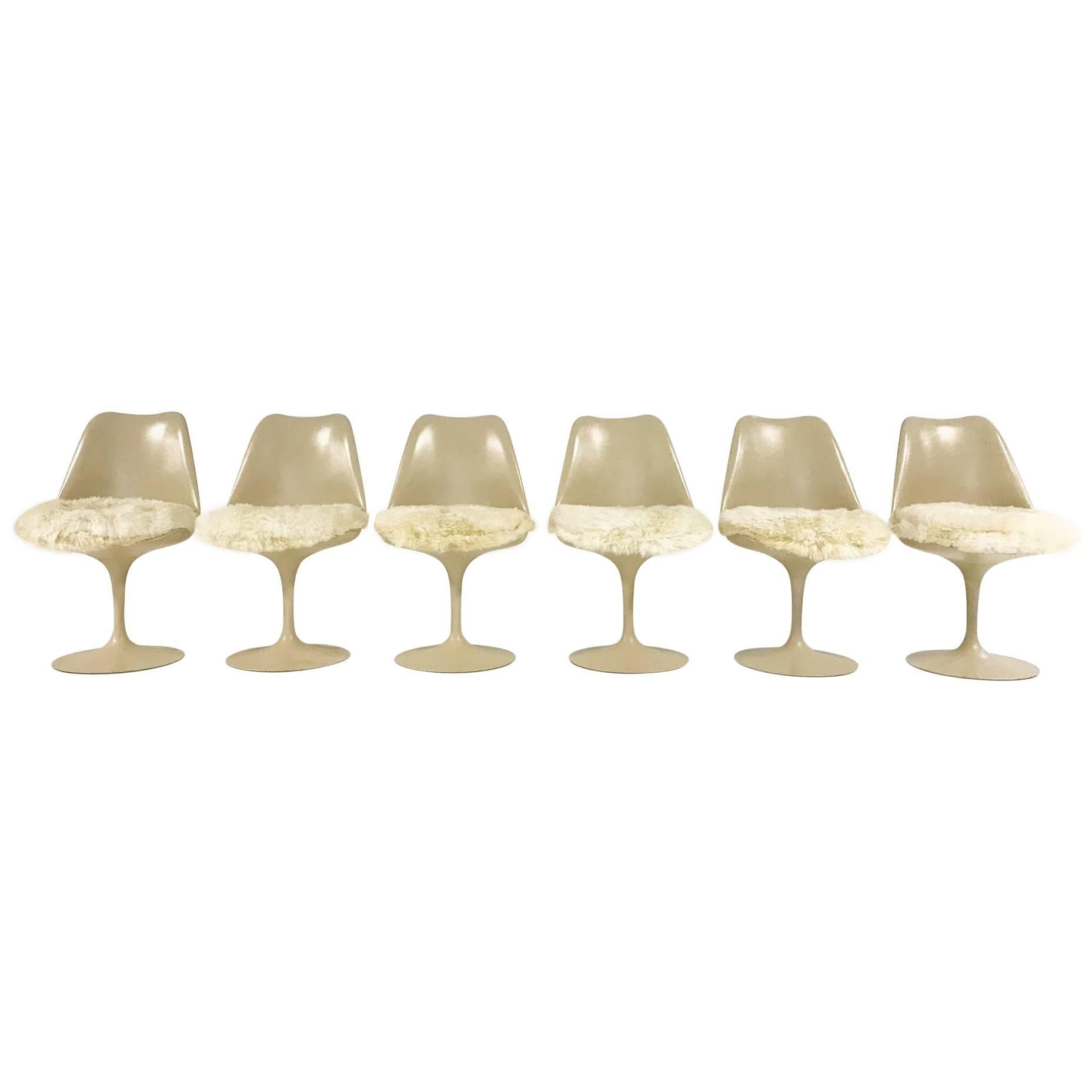 Eero Saarinen Tulip Chairs with Custom Brazilian Sheepskin Cushions, Set of Six