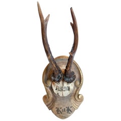 "Kaiser 
King" Roe Trophy of Emperor Franz Joseph on Hand-Carved Plaque