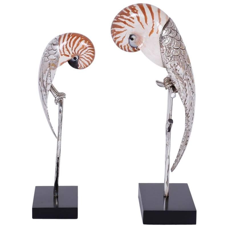 Two Mid-Century Nautllus Shell Parrot Sculptures