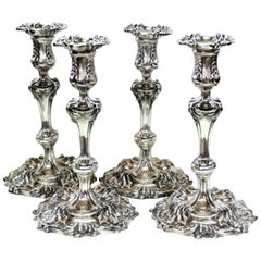 Satz von vier hervorragenden antiken Tiffany & Co. Silber Platte Rokoko-Stil Kerzenständer
