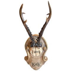 "Kaiser & King" Roe Trophy of Emperor Franz Joseph on Hand-Carved Plaque