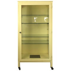 Classic Industrial Metal and Glass Cabinet