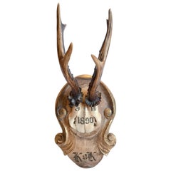 "Kaiser 
King" Roe Trophy of Emperor Franz Joseph on Hand-Carved Plaque