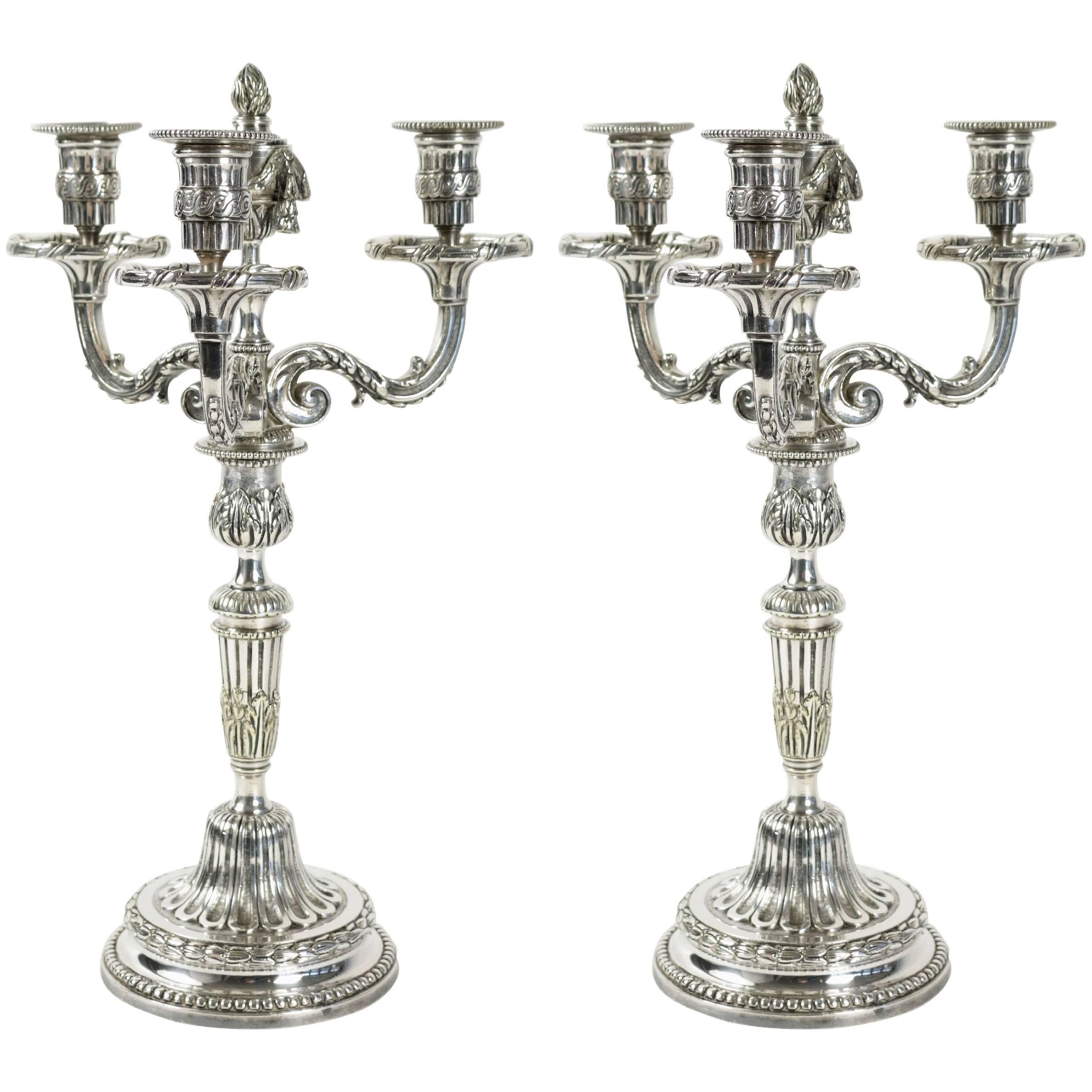 Pair of Candelabras For Sale
