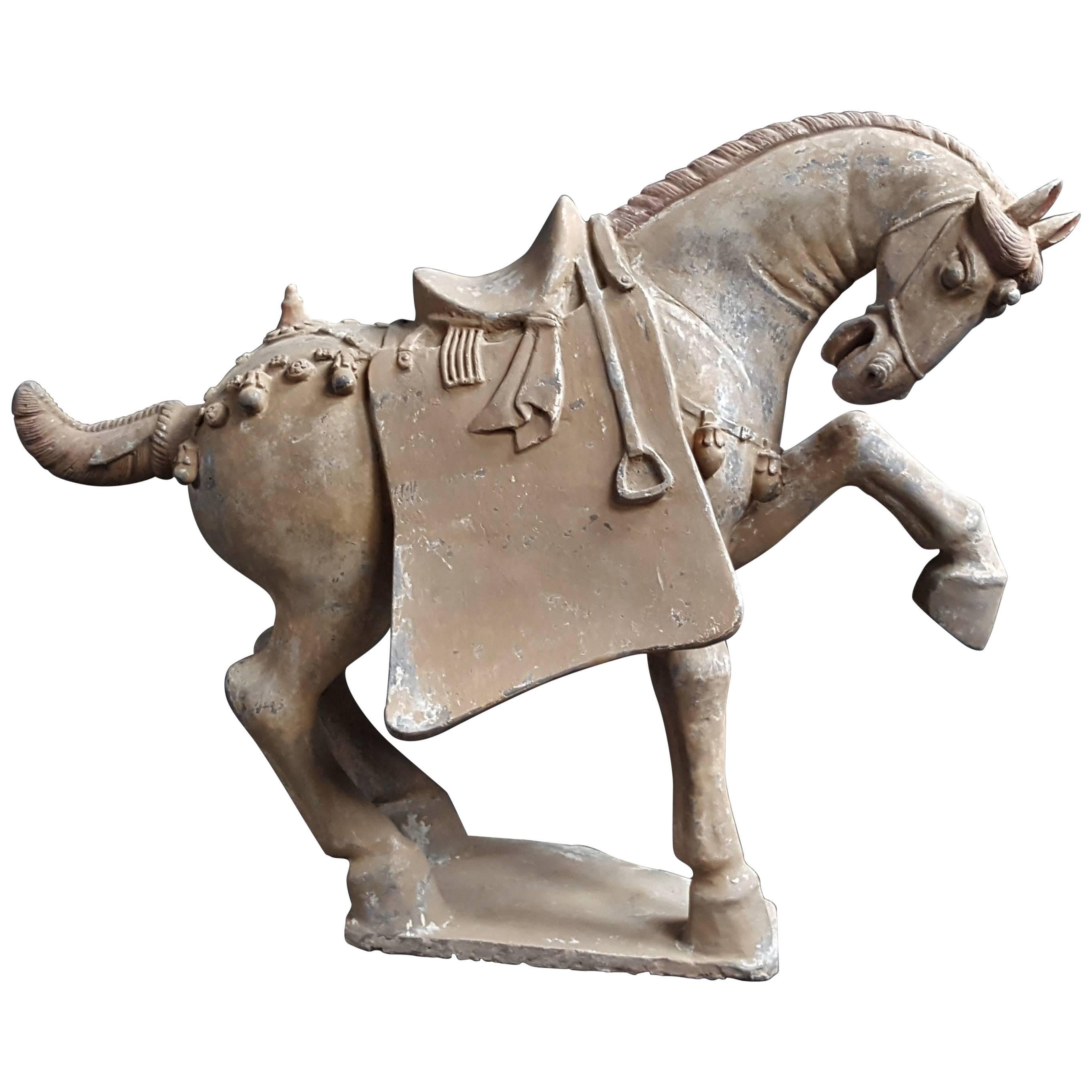 Handsome Prancing Horse, Tang Dynasty 'AD 618-AD 907' For Sale