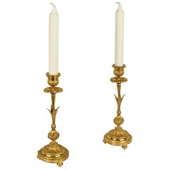 Pair of 19th Century Ormolu Candlesticks in the Shape of a Paris Daisy