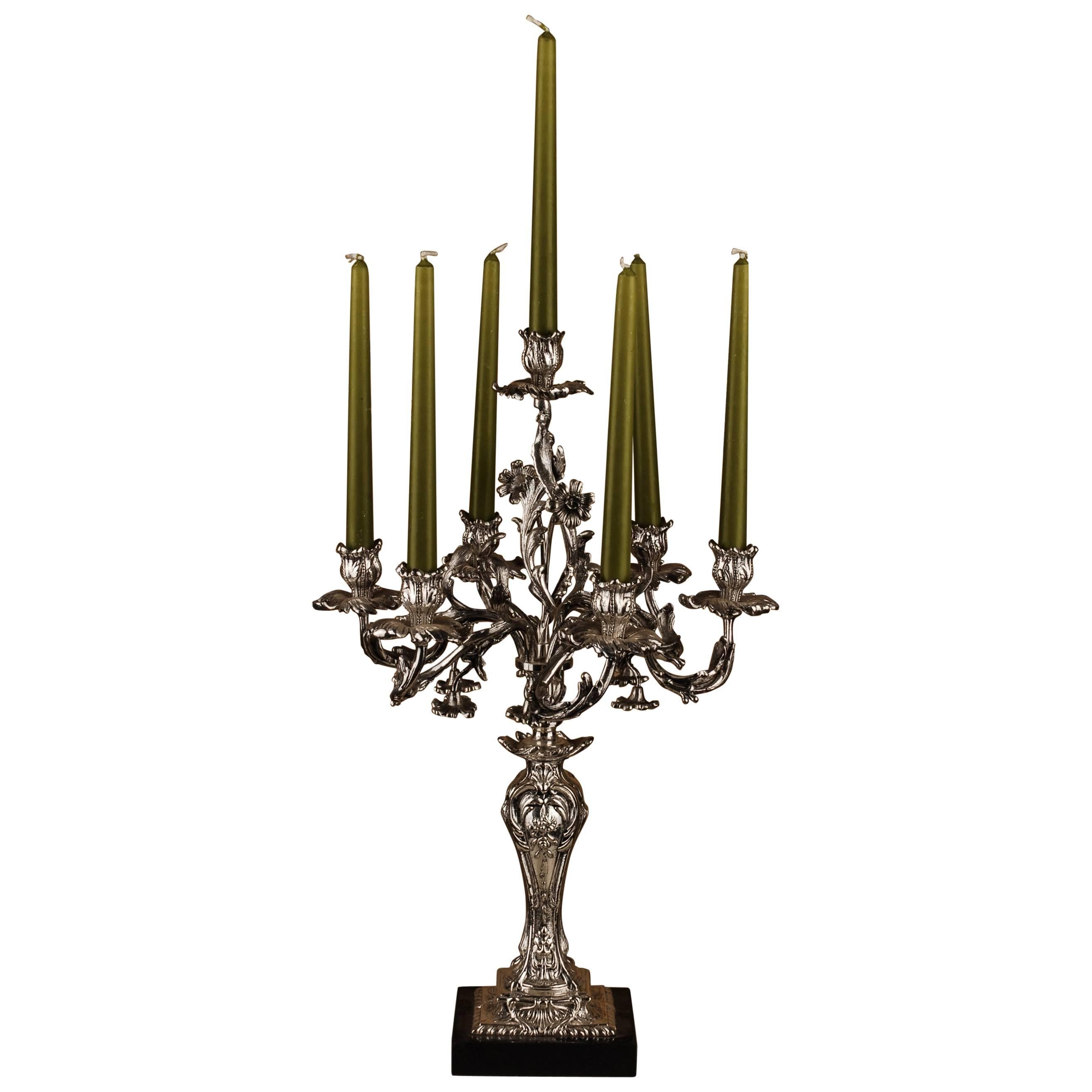 Exquisite Candelabra in Rococo Style For Sale