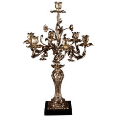 Exquisite Candelabra in Rococo Style
