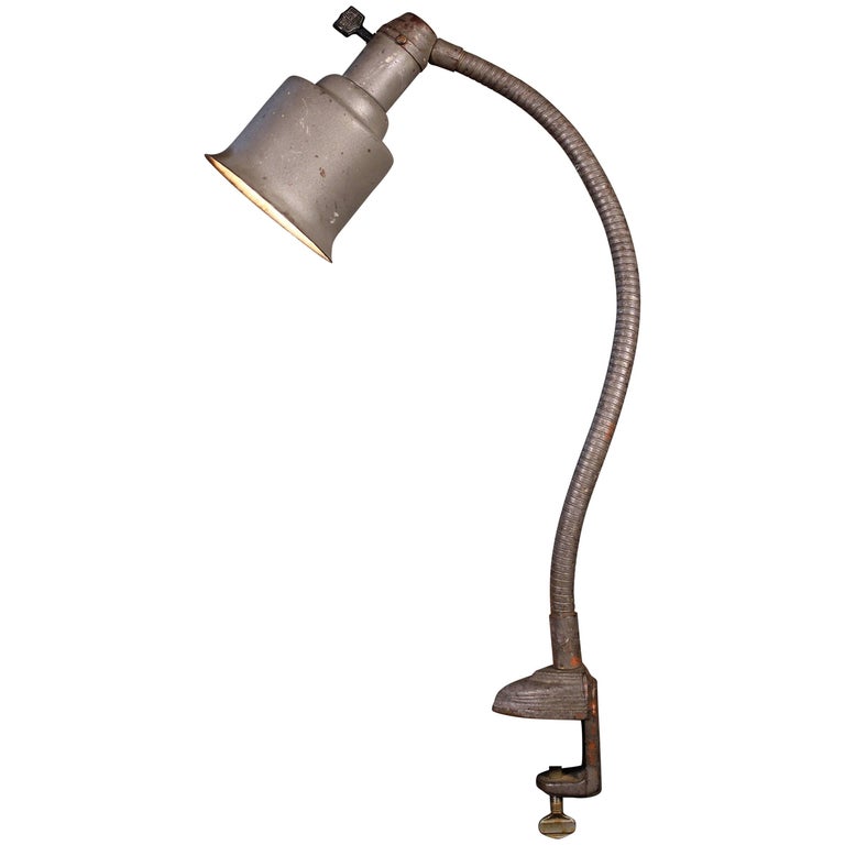 Clamp on Gooseneck Adjustable Light, Lamp Art Deco Distressed Metal at