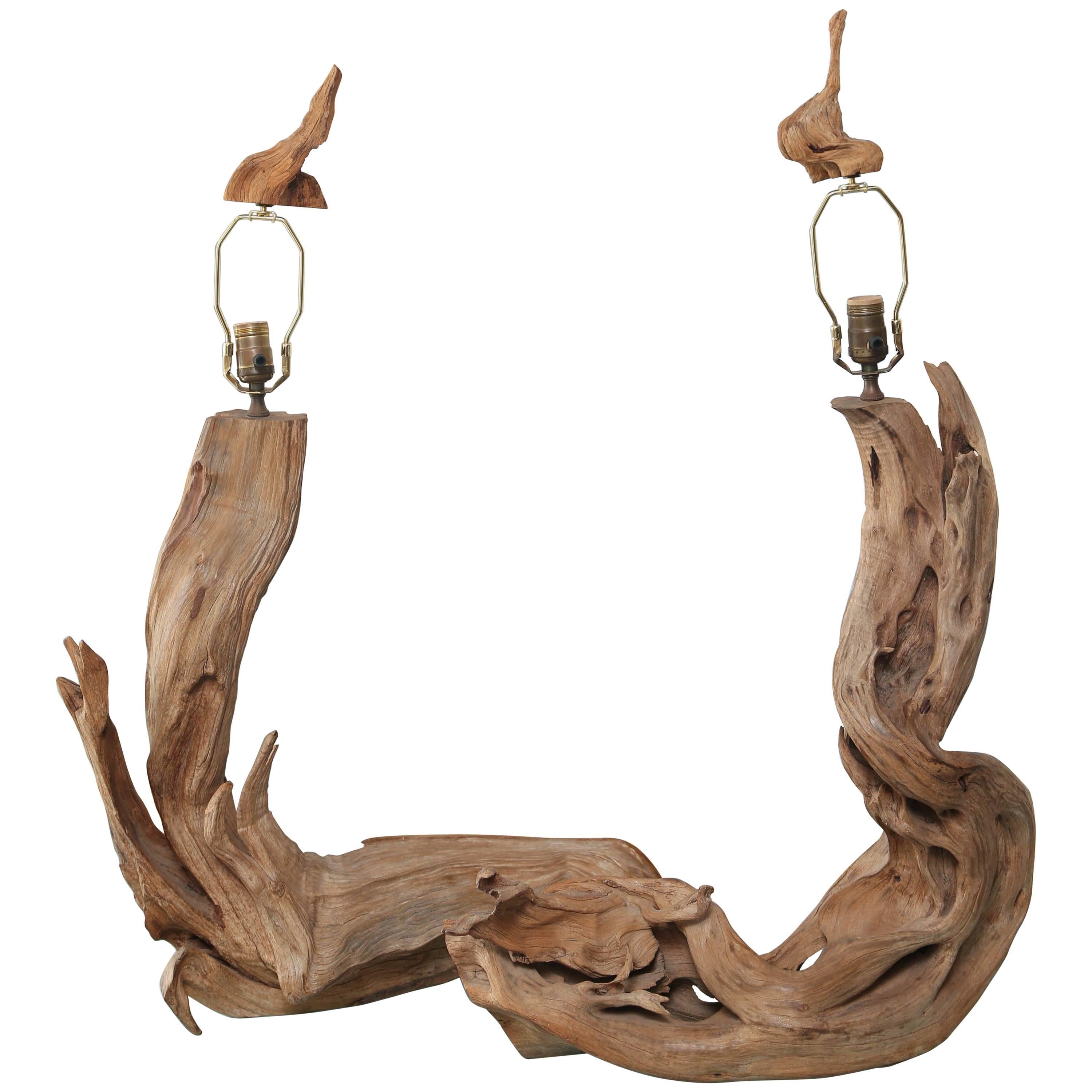 Superb Pair of Large Driftwood Lamps