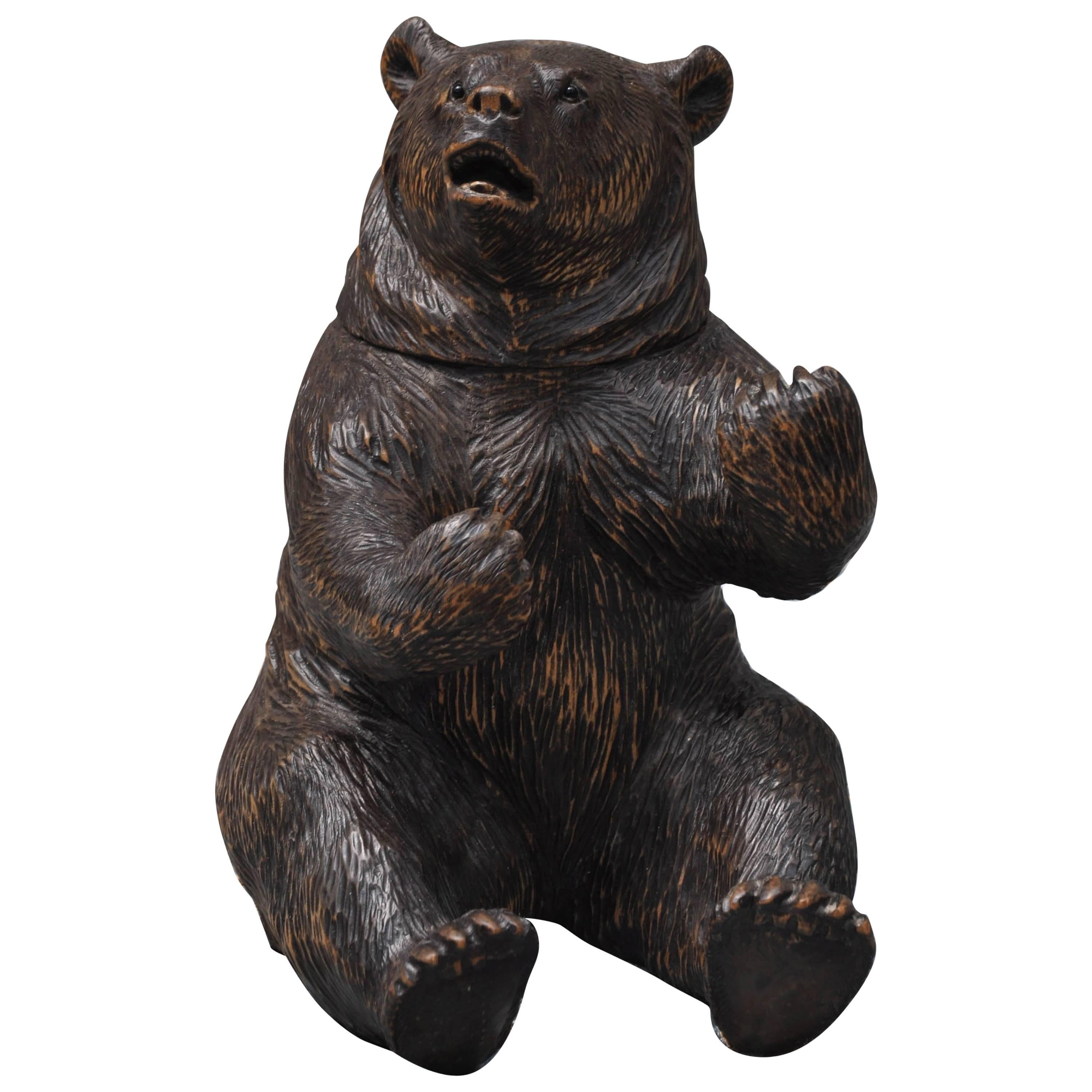 Brienz Black Forest Bear Humidor For Sale