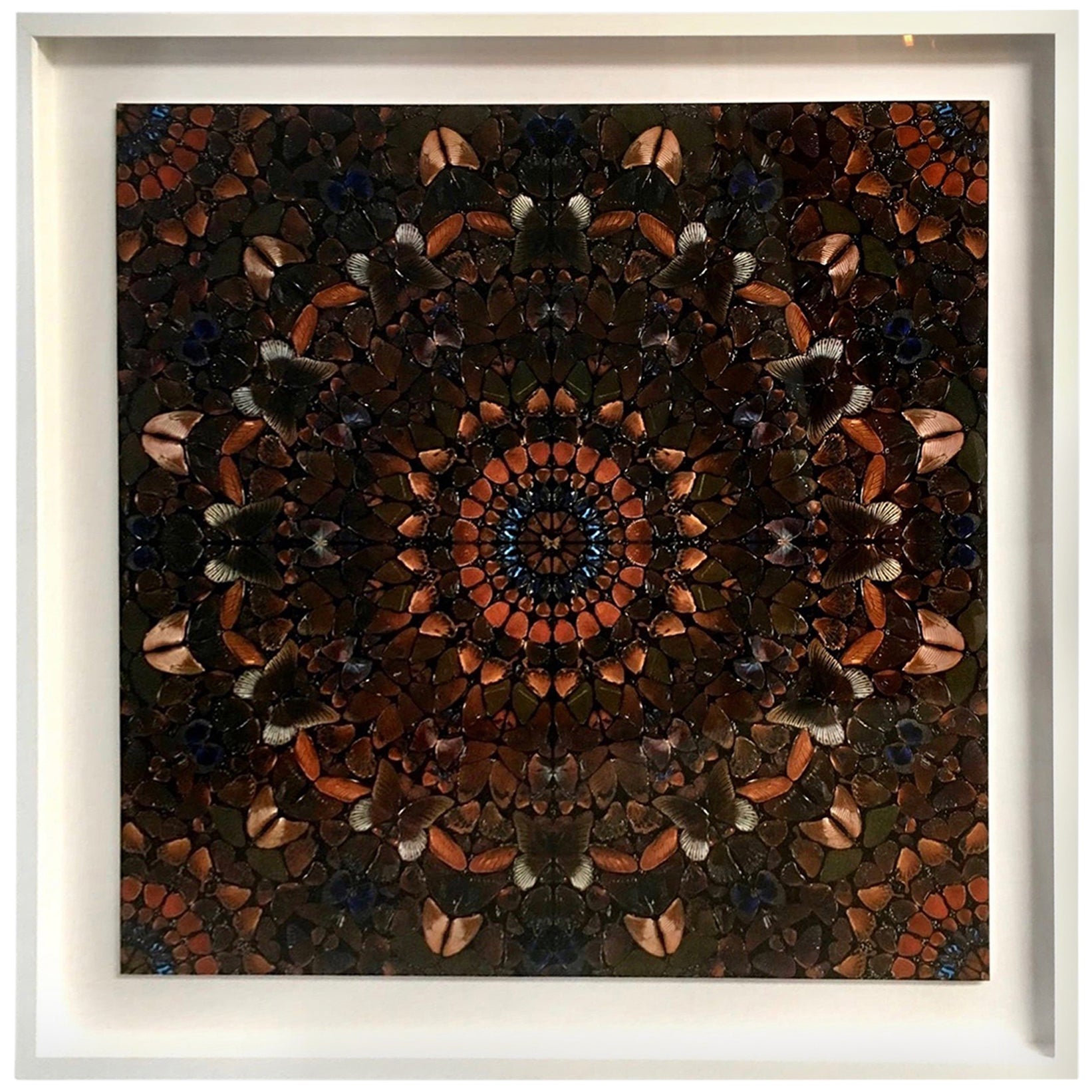 Damien Hirst Butterfly Kaleidoscope Wallpaper "Unframed" For Sale at