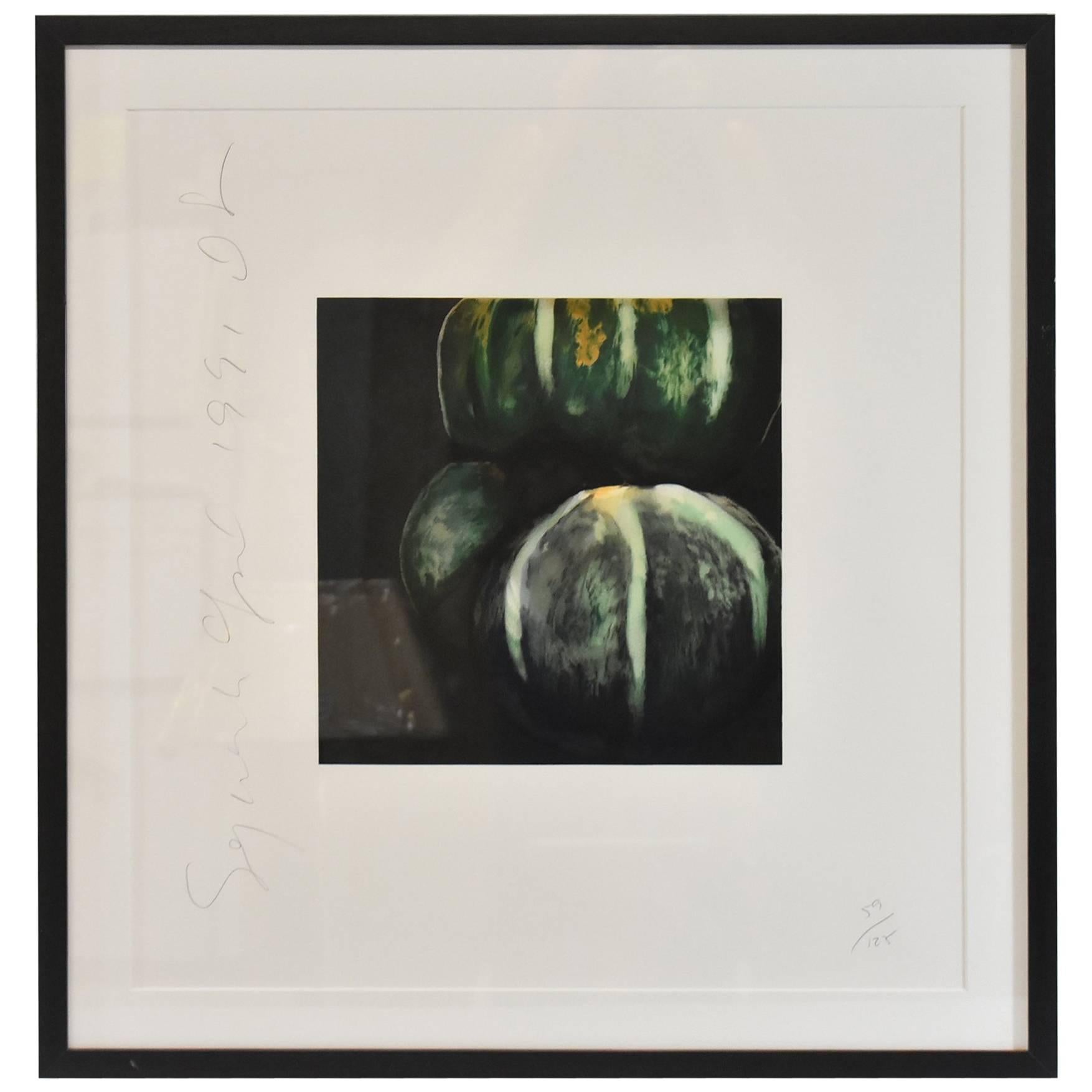 Donald Sultan Print, "Squash' Signed and Numbered 59/125, 1991