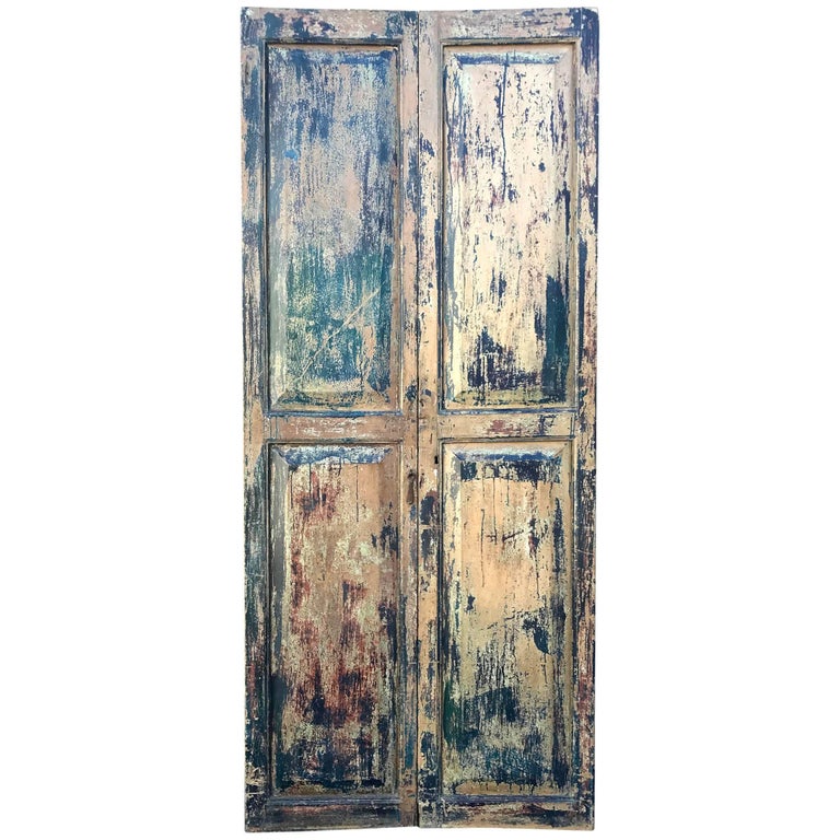 Pair of 19th Century Painted Doors For Sale