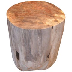 Andrianna Shamaris Petrified Wood Side Table