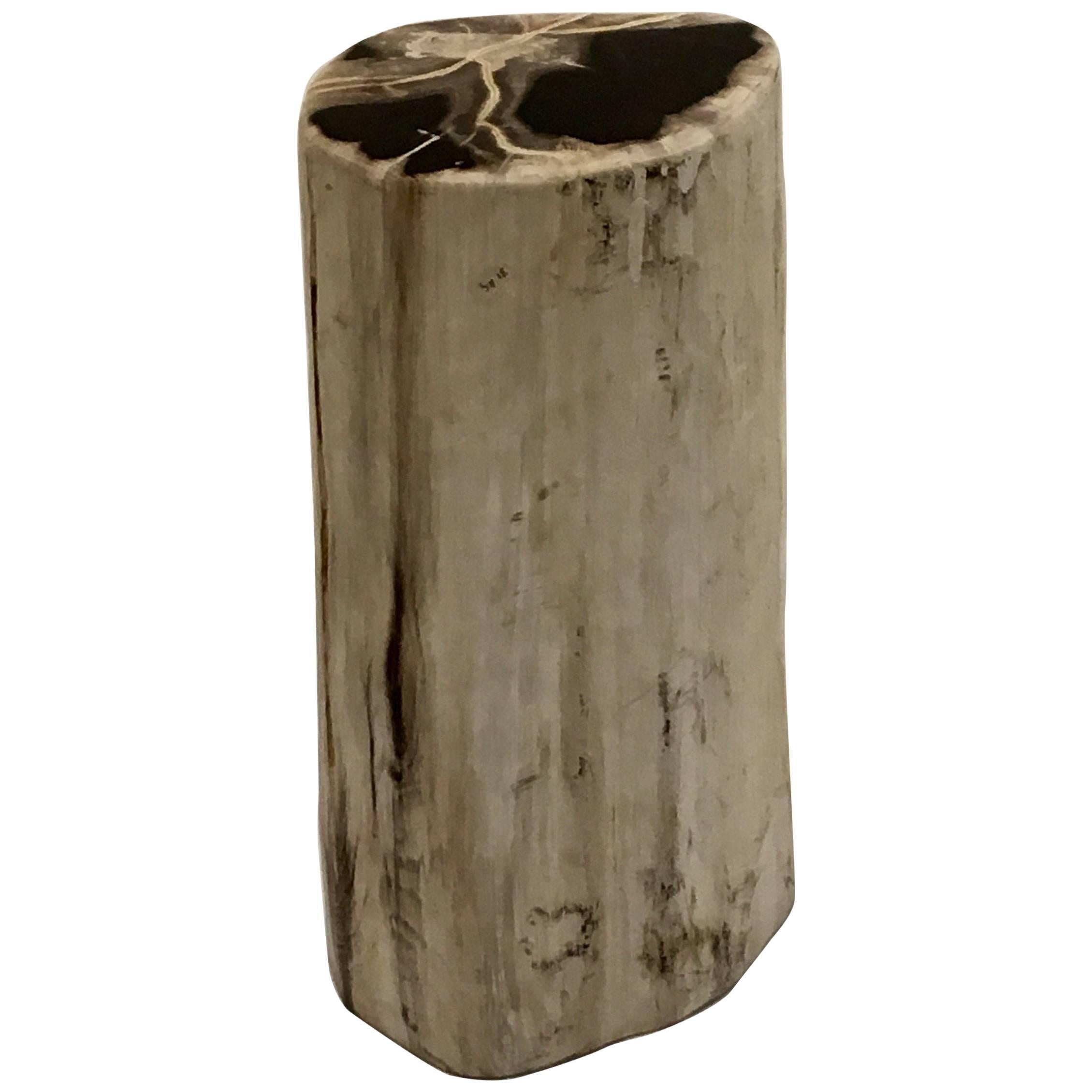 Eclectic Petrified Wood Side Table