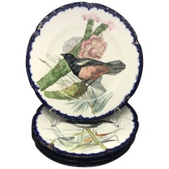 Set of Seven French Bird Plates