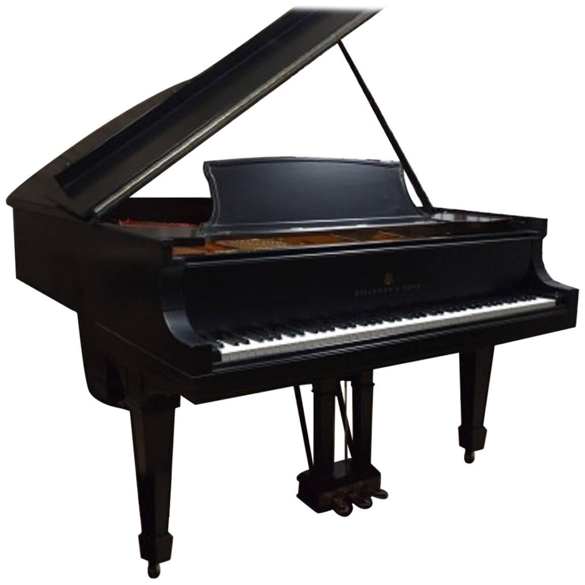 Steinway Model A Satin Ebony Grand Piano with Hamburg Action For Sale