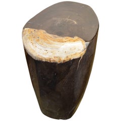 Antique Andrianna Shamaris Petrified Wood Side Table