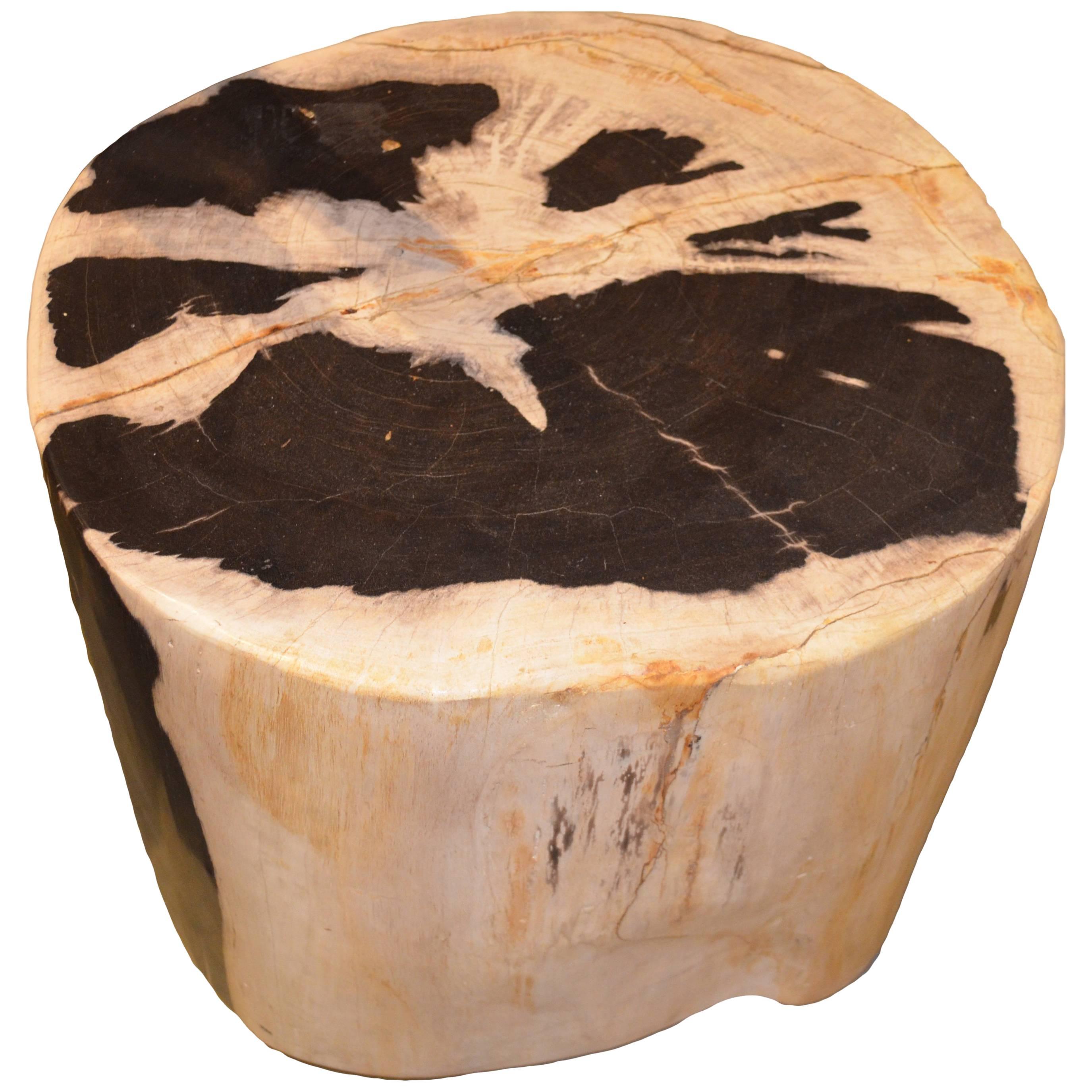 Andrianna Shamaris Petrified Wood Side Table