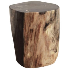 Antique Andrianna Shamaris Petrified Wood Side Table