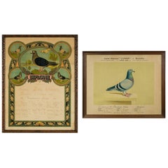 Set of Two Vintage Framed Pigeon Racing Certificates from Belgium, 1926 & 1931