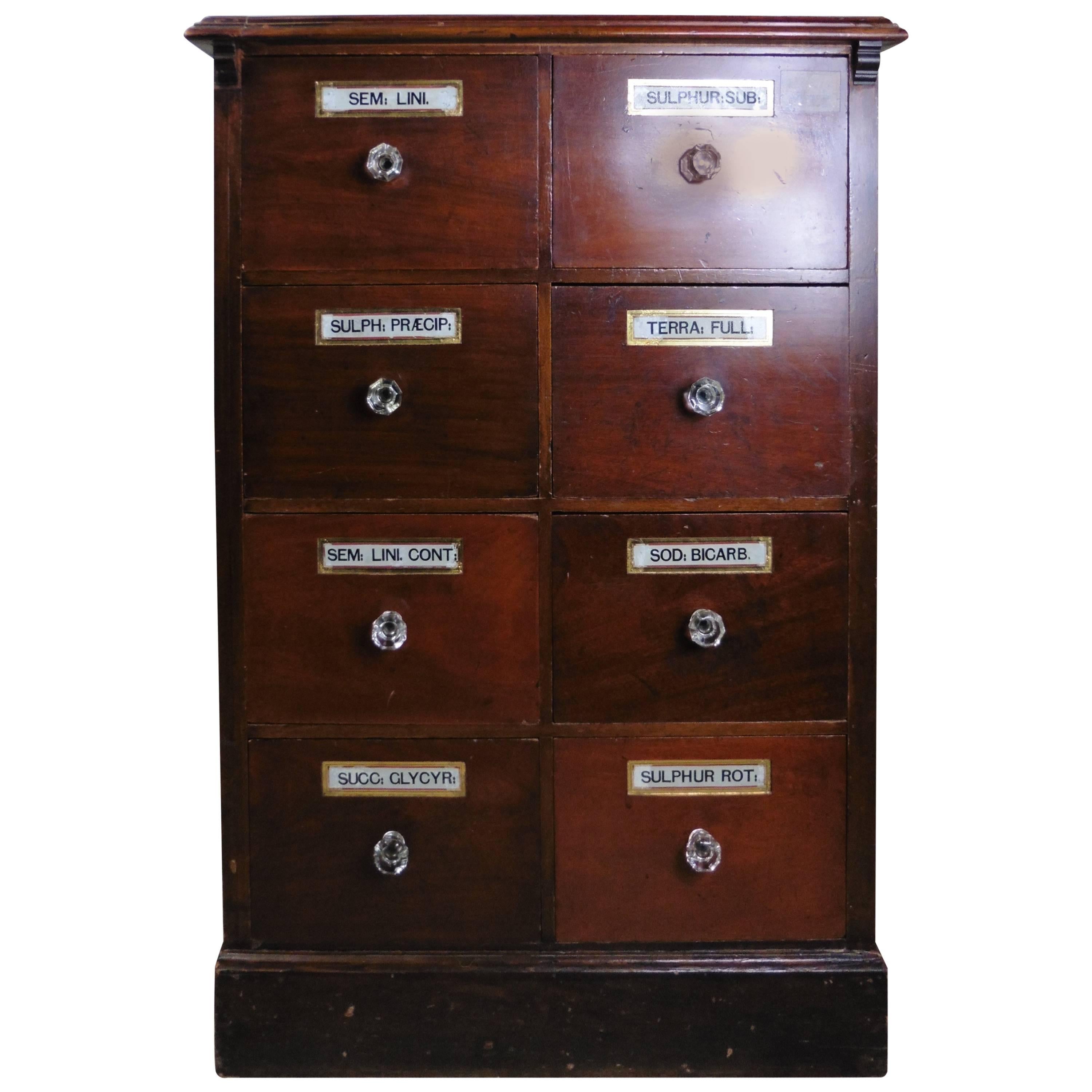 19th Century Chemist Drawers, Eight-Drawer Mahogany Pharmacists Cabinet