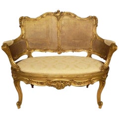 Late 19th Century French Carved Gilt Wood and Bergère Canapé