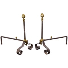 19th Century French Iron and Brass Andirons and Fireplace Tools