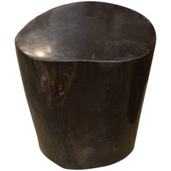 Andrianna Shamaris Super Smooth Petrified Wood Side Table
