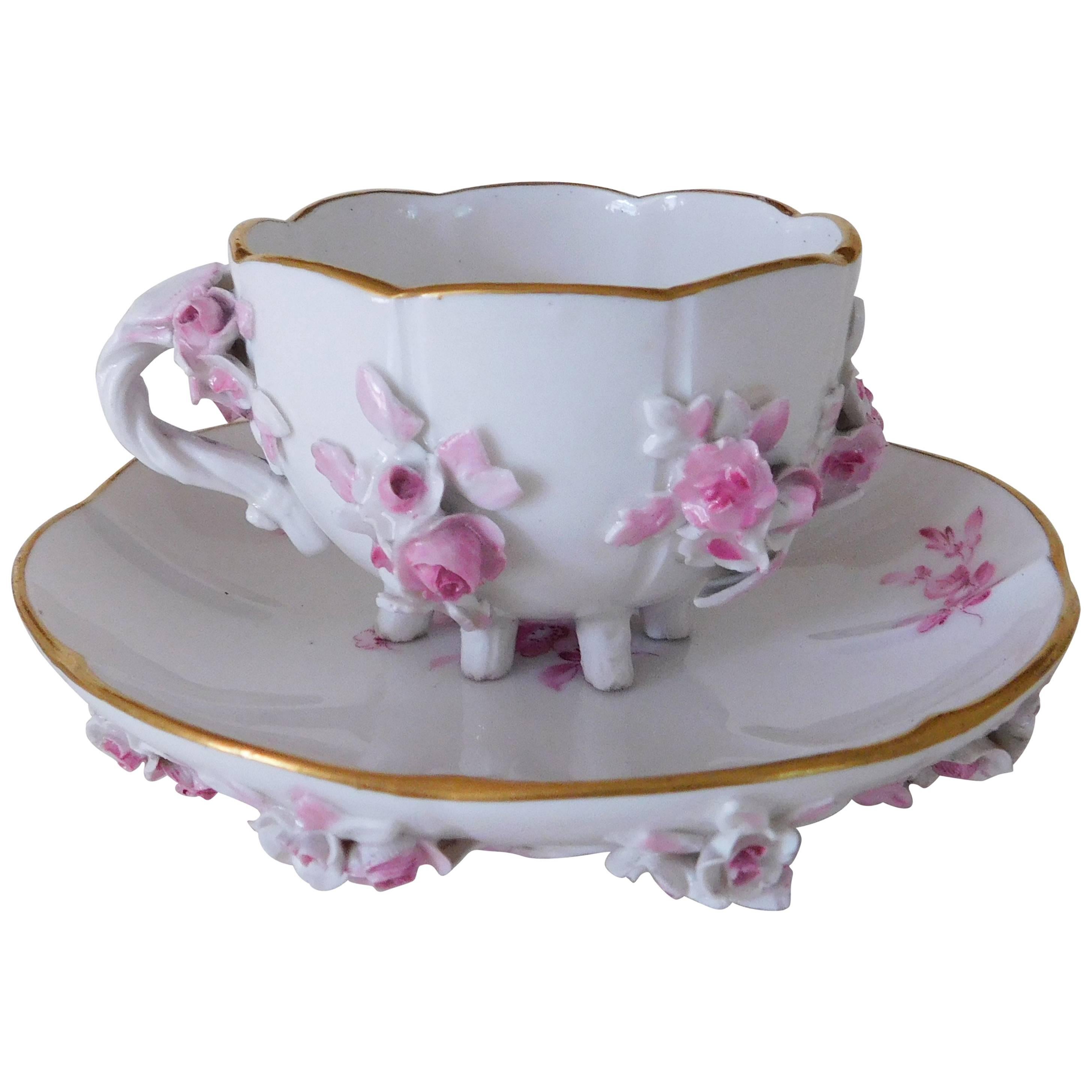 19th Century Meissen Porcelain Floral Teacup and Saucer For Sale
