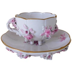 19th Century Meissen Porcelain Floral Teacup and Saucer